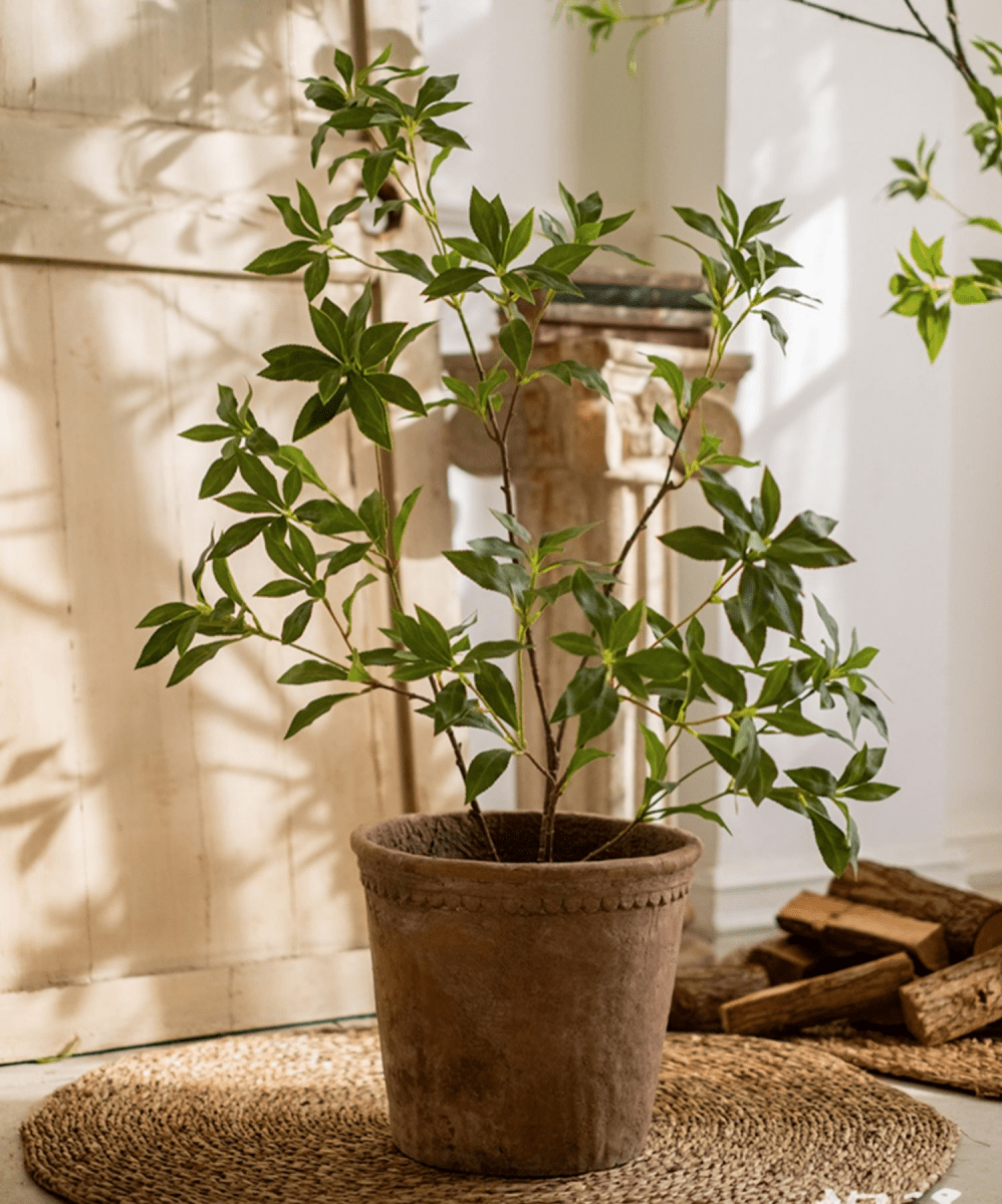 Artificial Japanese Enkianthus Tree Faux in terracotta pot with green leaves RusticReach on Tampa Home & Garden Store