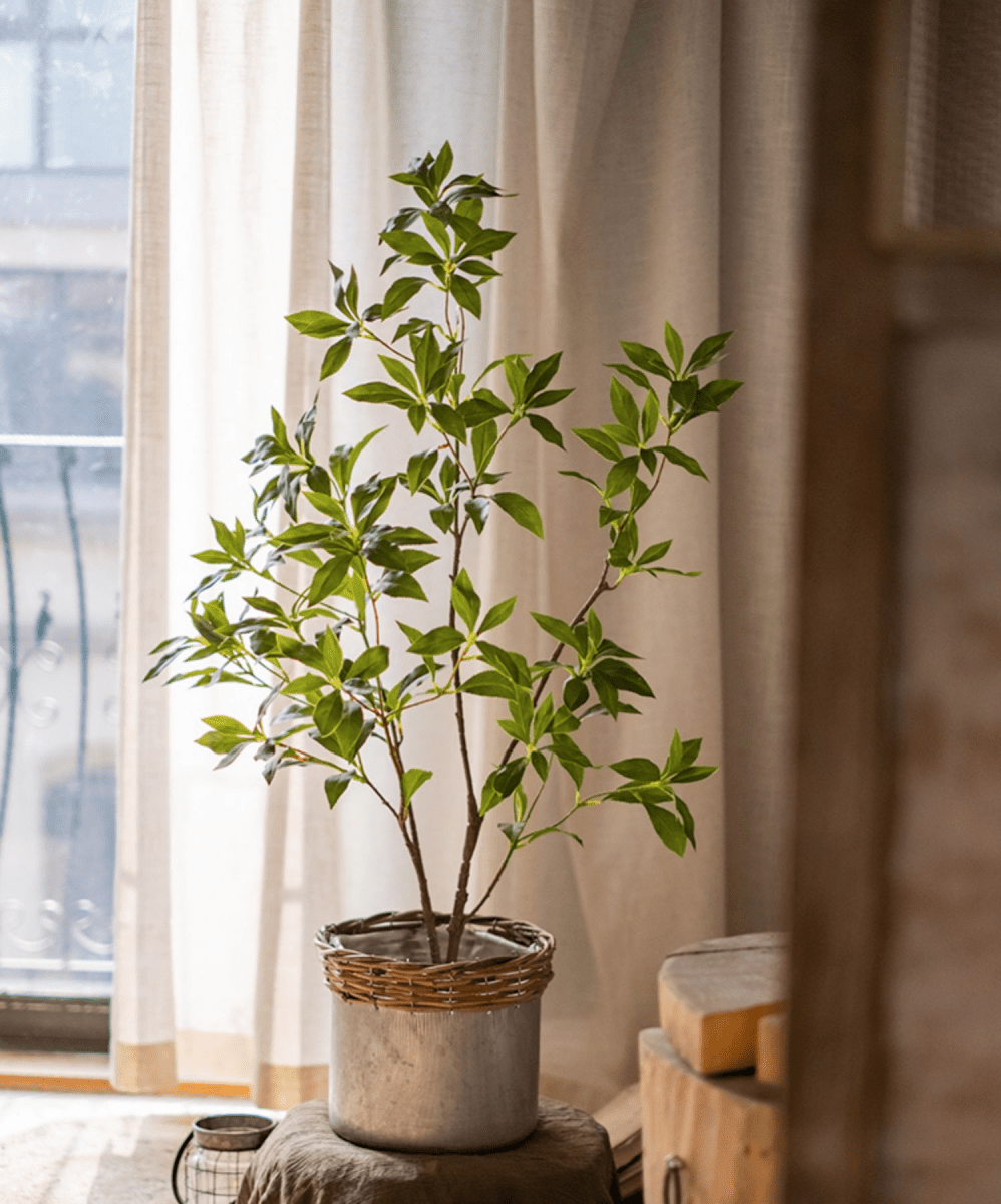 Artificial Japanese Enkianthus Tree Faux by RusticReach with green leaves in a concrete pot on Tampa Home & Garden Store