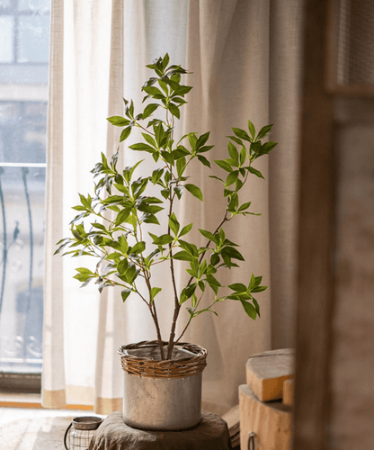 Artificial Japanese Enkianthus Tree Faux by RusticReach with green leaves in a concrete pot on Tampa Home & Garden Store