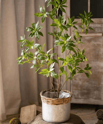 Artificial Japanese Enkianthus Tree Faux, green leafy artificial tree in a gray ceramic pot on Tampa Home & Garden Store