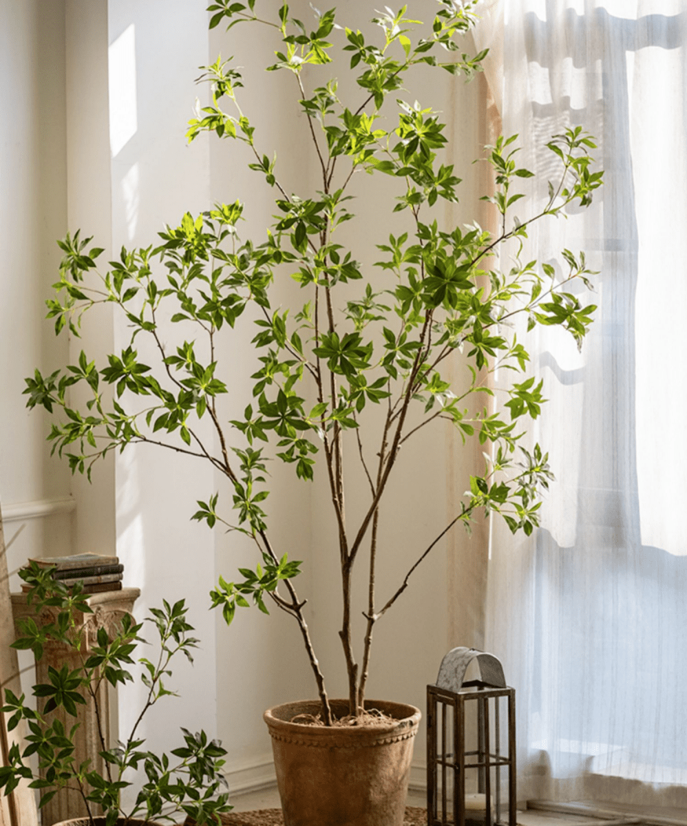 Artificial Japanese Enkianthus Tree by RusticReach in a terracotta pot with green leaves on Tampa Home & Garden Store