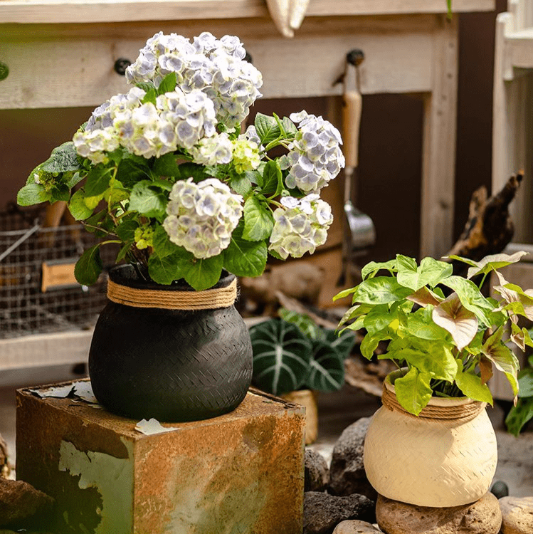 Faux Bamboo Woven Cement Planter RusticReach black and beige rope-wrapped planters with greenery on Tampa Home & Garden Store