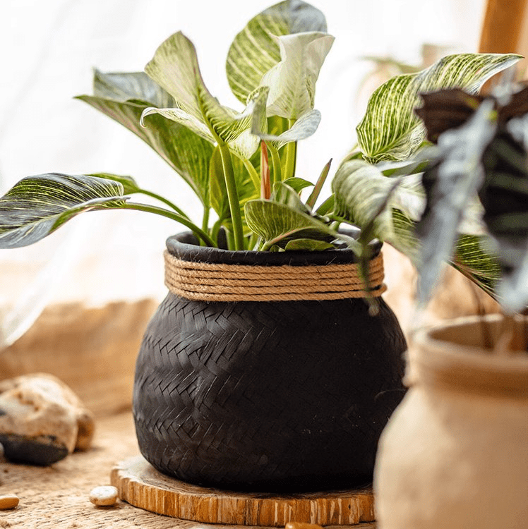 Faux Bamboo Woven Cement Planter RusticReach, black woven texture with jute rope wrap on Tampa Home & Garden Store