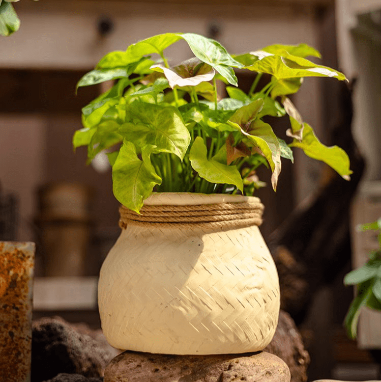 Faux Bamboo Woven Cement Planter with cream finish and natural rope trim RusticReach on Tampa Home & Garden Store