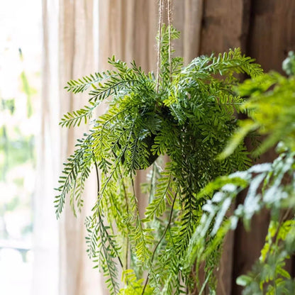 Artificial Fern Hanging Ball Decoration by RusticReach, lush faux fern in hanging ball for home decor on Tampa Home & Garden Store