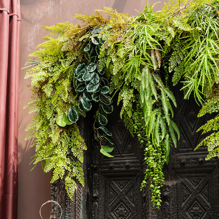 Artificial ferns vine stem 39-inch long with green trailing foliage over ornate door on Tampa Home & Garden Store