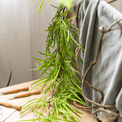 Artificial Ferns Vine Stem 39 inches long, green, RusticReach artificial non-flowering plant on Tampa Home & Garden Store