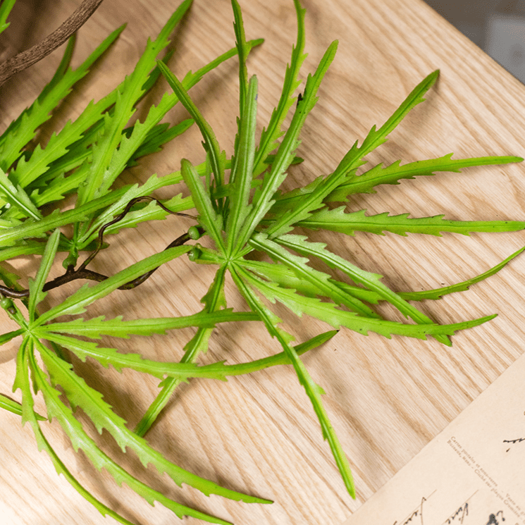 Artificial Fern Vine Stem 39in long bright green foliage RusticReach non-flowering plant on Tampa Home & Garden Store
