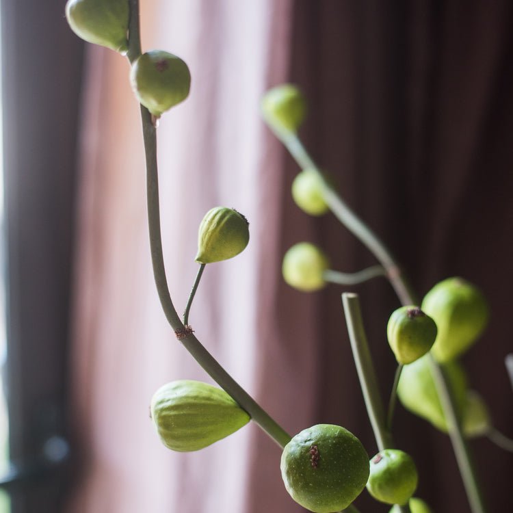 Artificial fig fruit stem 30 tall with green figs RusticReach non-flowering plant on Tampa Home & Garden Store