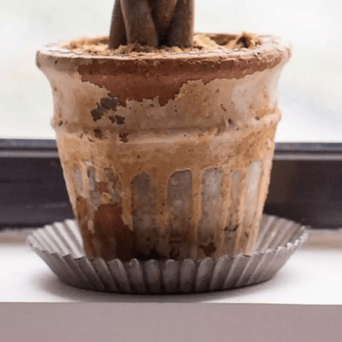 Rustic Fluted Metal Tray with weathered terracotta planter for planters on Tampa Home & Garden Store