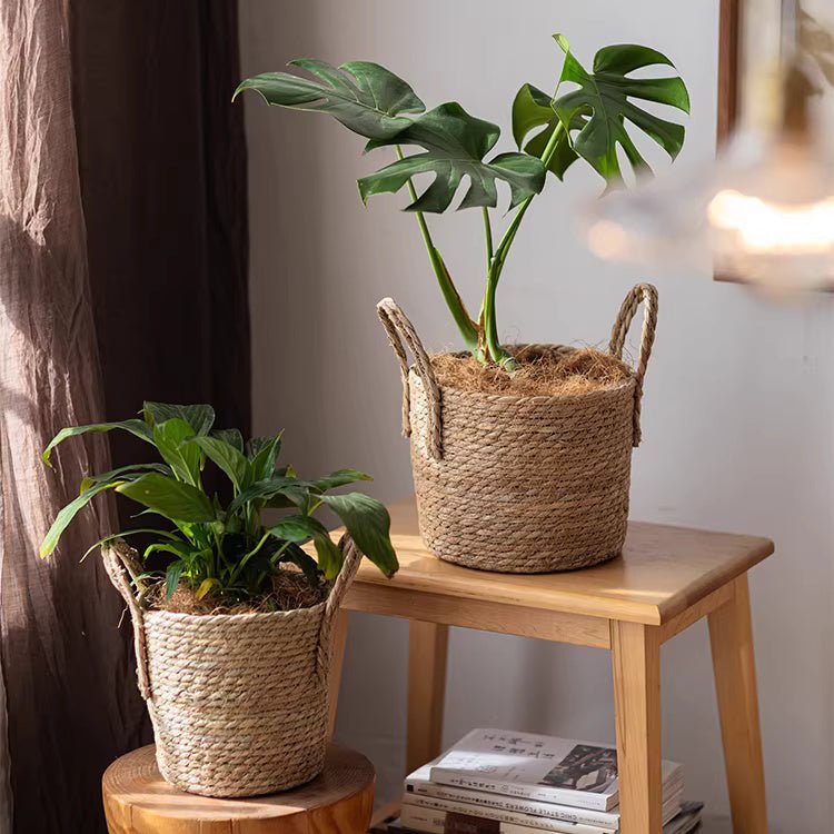 French Country Woven Planter Basket, RusticReach, natural jute with handles, two planters on Tampa Home & Garden Store