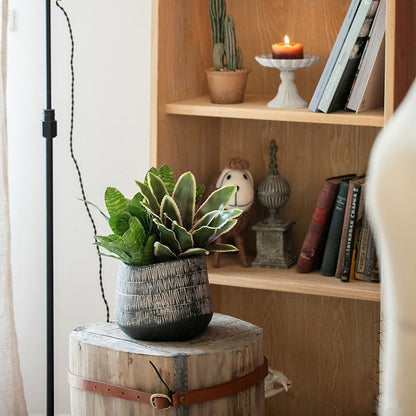 Geometry Line Ceramic Stoneware Flower Pot by RusticReach with grey textured glaze and succulent on Tampa Home & Garden Store