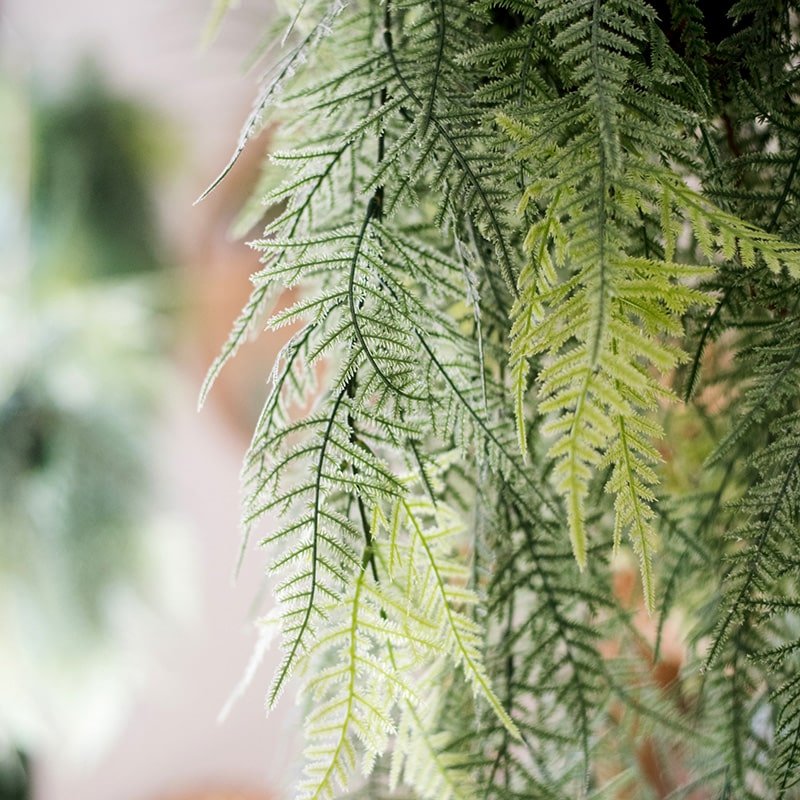 Faux asparagus setaceus hanging fern plant, light green foliage RusticReach on Tampa Home & Garden Store