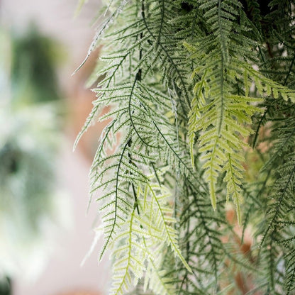 Faux asparagus setaceus hanging fern plant, light green foliage RusticReach on Tampa Home & Garden Store