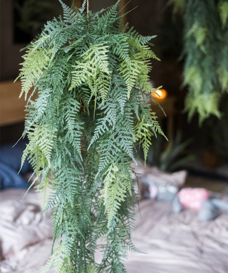 Faux artificial Asparagus Setaceus hanging fern plant with cascading fronds RusticReach on Tampa Home & Garden Store
