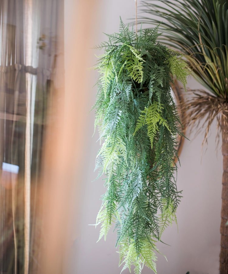 Faux Asparagus Setaceus Hanging Fern Plant RusticReach cascading green fronds on Tampa Home & Garden Store