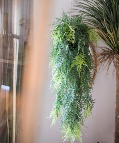 Faux Asparagus Setaceus Hanging Fern Plant RusticReach cascading green fronds on Tampa Home & Garden Store