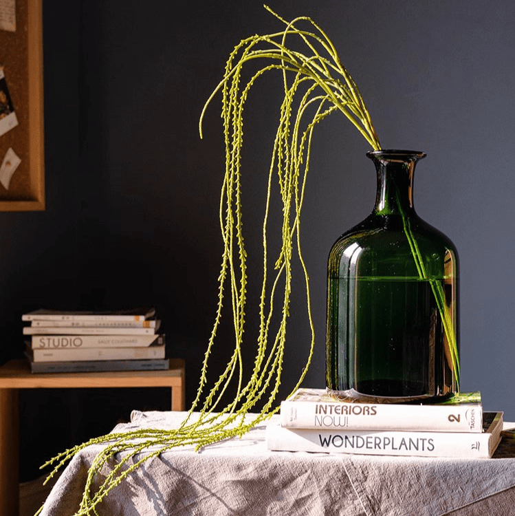 Artificial Vine Hanging Thin Succulent Stem RusticReach in green glass bottle on Tampa Home & Garden Store