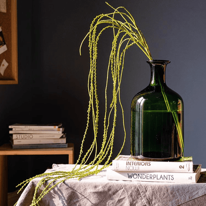 Artificial Vine Hanging Thin Succulent Stem RusticReach in green glass bottle on Tampa Home & Garden Store