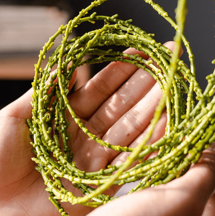 Artificial Vine Hanging Thin Succulent Stem by RusticReach, beaded bright green plastic on Tampa Home & Garden Store