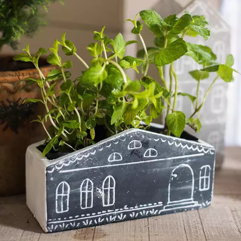 TinyHome clay planter shaped like a house with a fresh herb plant, gray ceramic with white trim on Tampa Home & Garden Store