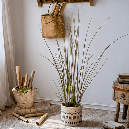 Artificial rough horsetail plant with 54-inch stems in a geometric-pattern ceramic pot on Tampa Home & Garden Store