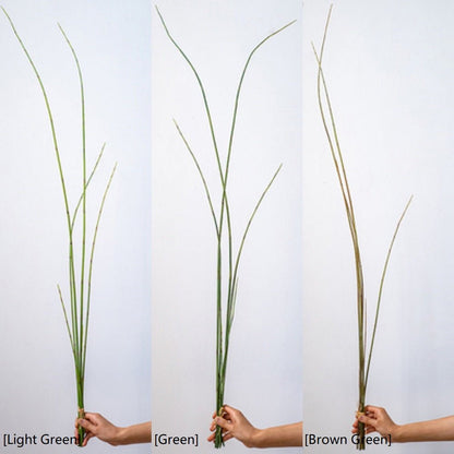 Artificial rough horsetail long stems, RusticReach, 54" tall; light green, green, brown-green on Tampa Home & Garden Store