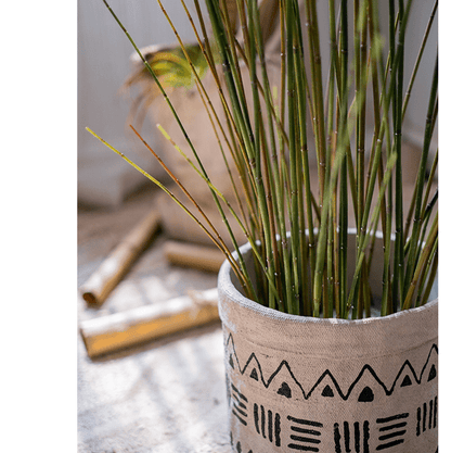 Artificial rough horsetail plant 54 in tall green stems in beige fabric pot RusticReach on Tampa Home & Garden Store