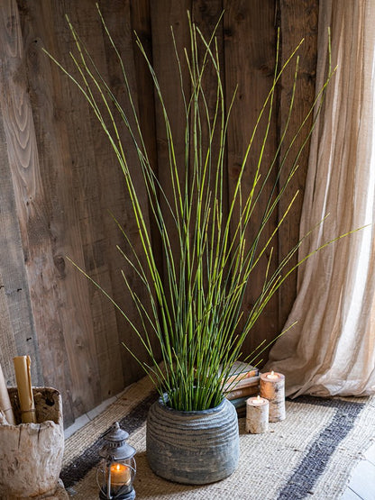 RusticReach artificial rough horsetail plant long green stems in a gray ceramic pot on Tampa Home & Garden Store