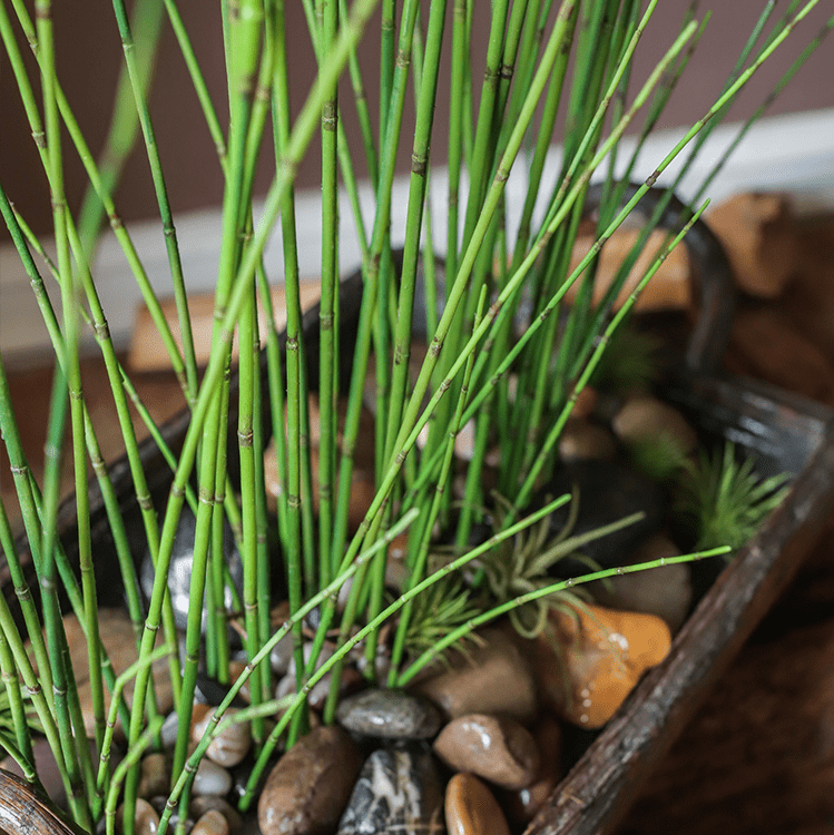 Artificial rough horsetail plant RusticReach 54in tall bright green segmented stems on Tampa Home & Garden Store