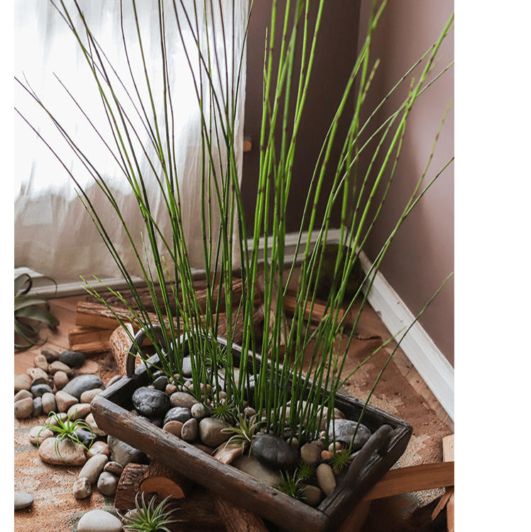 RusticReach artificial horsetail plant with long green stems in a trough with river rocks on Tampa Home & Garden Store
