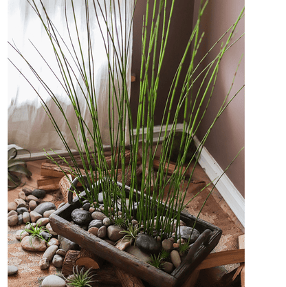 RusticReach artificial horsetail plant with long green stems in a trough with river rocks on Tampa Home & Garden Store