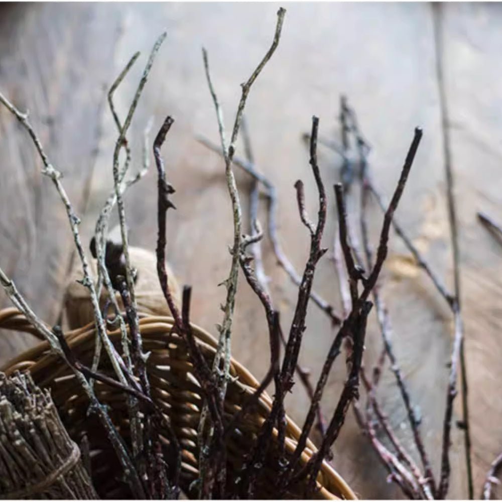 Ikebana Twig Branch artificial plant in a wicker basket with dark brown twig stems on Tampa Home & Garden Store