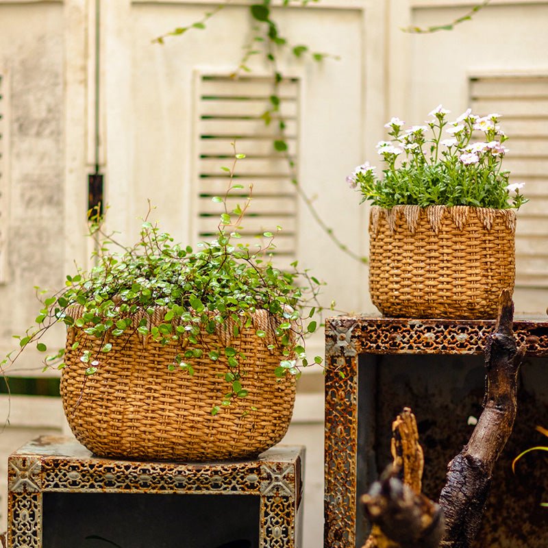 Lady Straw Basket Cement Planter by RusticReach; two woven wicker planters on stands with plants on Tampa Home & Garden Store
