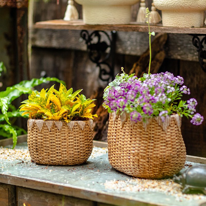 Lady Straw Basket Cement Planter by RusticReach; two woven planters with yellow and purple blooms on Tampa Home & Garden Store
