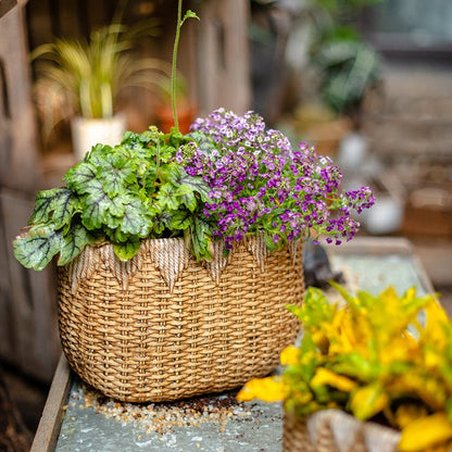 Lady Straw Basket Cement Planter with natural woven basket and purple blooms on Tampa Home & Garden Store