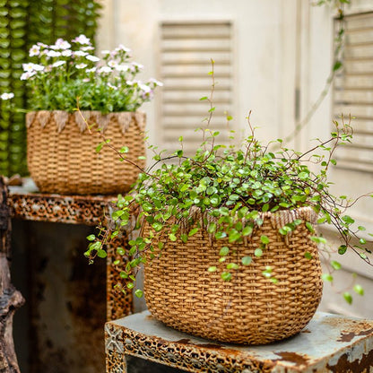 Lady Straw Basket Cement Planter by RusticReach, natural basket with trailing greenery pair on Tampa Home & Garden Store