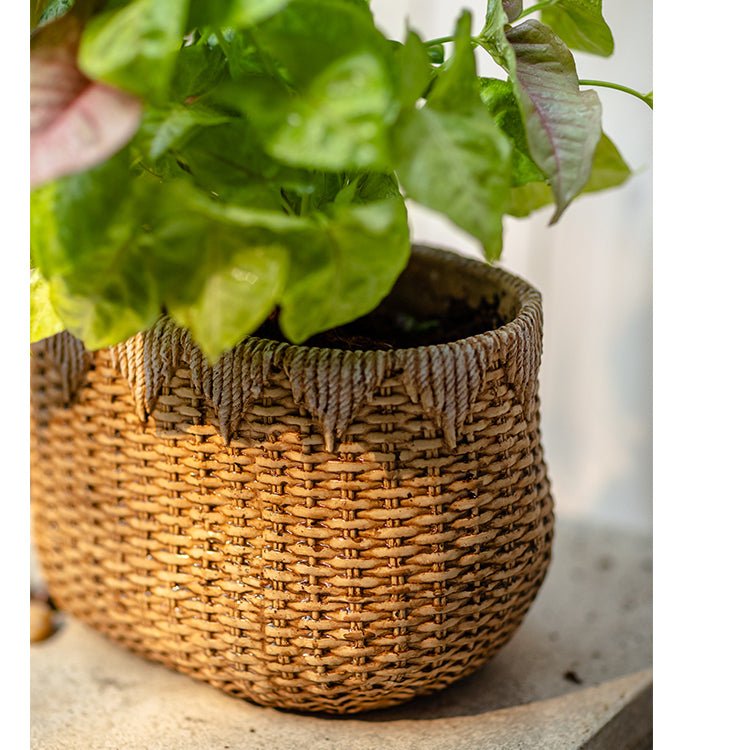 Lady Straw Basket Cement Planter by RusticReach, woven straw planter with plant on concrete on Tampa Home & Garden Store