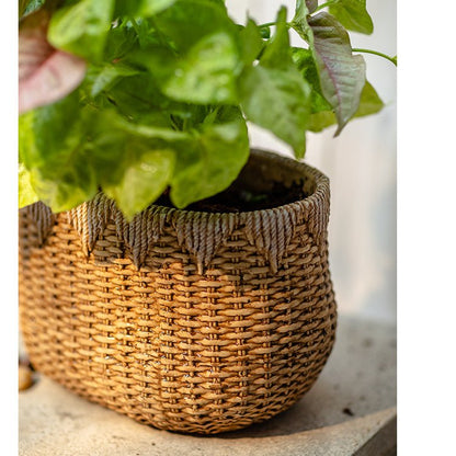 Lady Straw Basket Cement Planter by RusticReach, woven straw planter with plant on concrete on Tampa Home & Garden Store