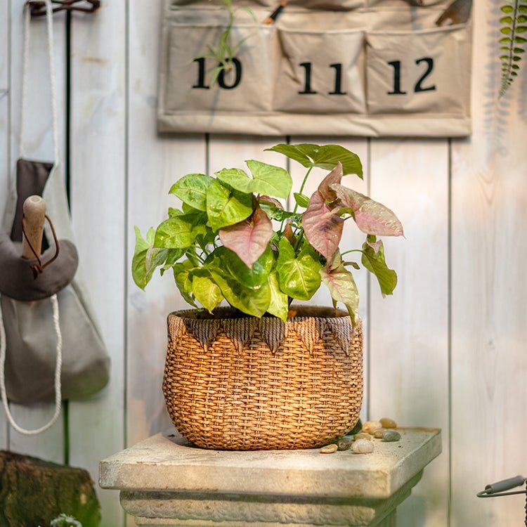 Lady Straw Basket Cement Planter with woven texture and green leaves by RusticReach on Tampa Home & Garden Store