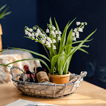 Faux Lily of the Valley in brown pot with green leaves on a wire basket on Tampa Home & Garden Store