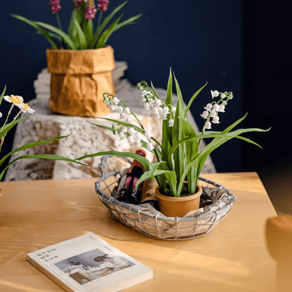 Faux Lily of the Valley in Brown Pot with white blooms, green leaves on Tampa Home & Garden Store