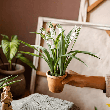 Faux Lily of the Valley in a brown terracotta pot by RusticReach on Tampa Home & Garden Store