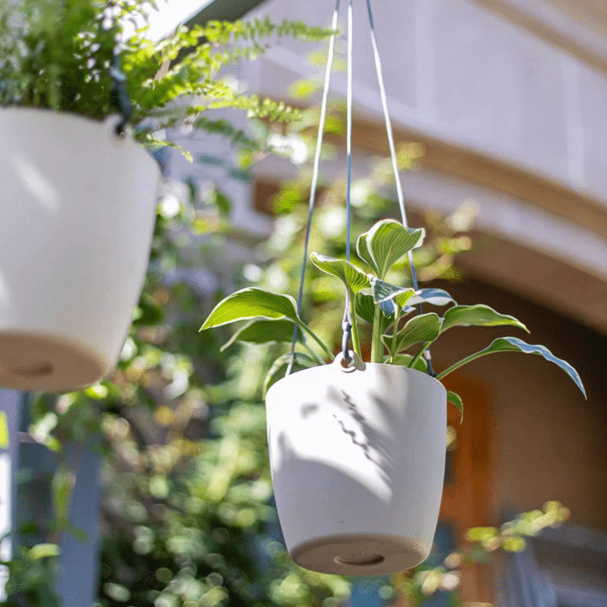 Two modern resin hanging planters for artificial plants white pots with cords and greenery on Tampa Home & Garden Store