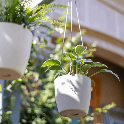 Two modern resin hanging planters for artificial plants white pots with cords and greenery on Tampa Home & Garden Store