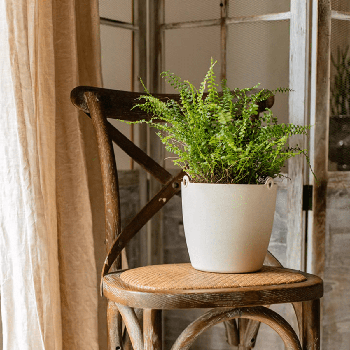Modern resin hanging planter for artificial plants, white pot with fern on a rustic chair on Tampa Home & Garden Store