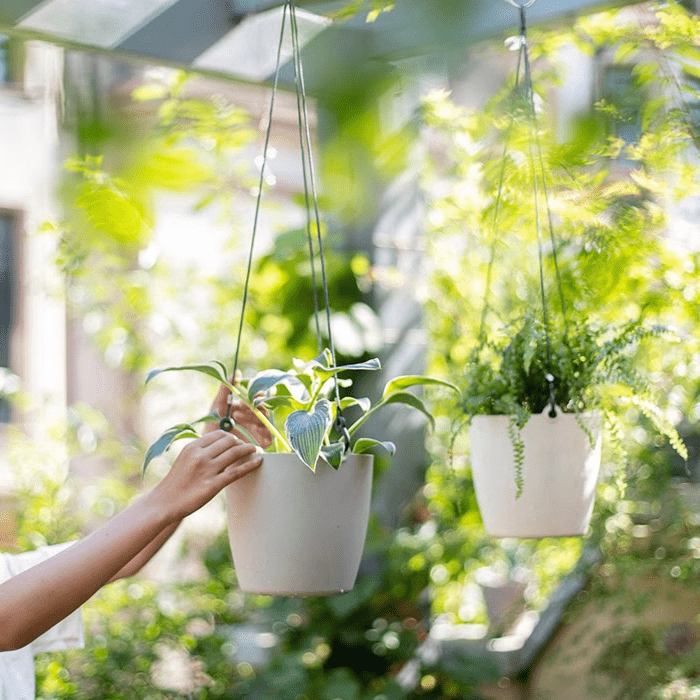 Modern resin hanging planter for artificial plants, white planters, RusticReach, 2 shown on Tampa Home & Garden Store