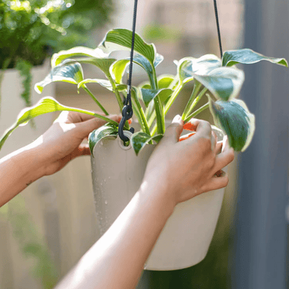 Modern resin hanging planter in cream with black cord by RusticReach for artificial plants on Tampa Home & Garden Store