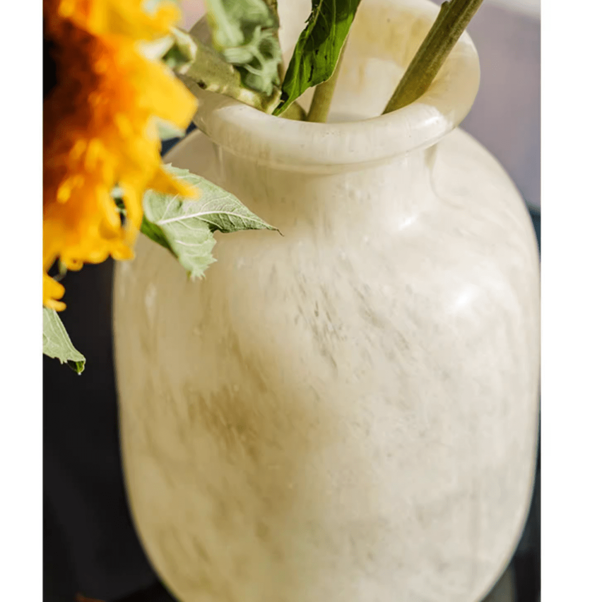 Large Matte Frosted Glass Vase with bulbous body and narrow neck in beige frosted glass on Tampa Home & Garden Store