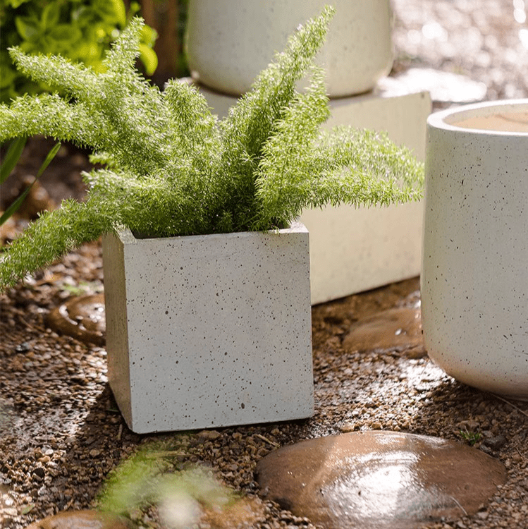 Modern White Planter Square by RusticReach with speckled concrete finish and plant in gravel on Tampa Home & Garden Store